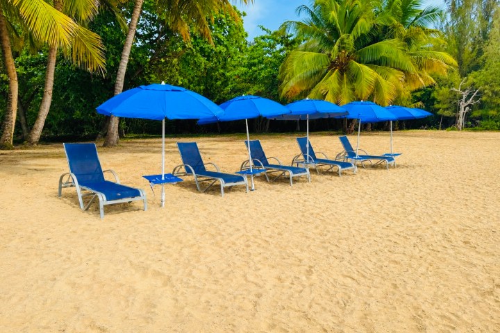 Five blue beach chairs with umbrellas on sandy beach near palm trees.