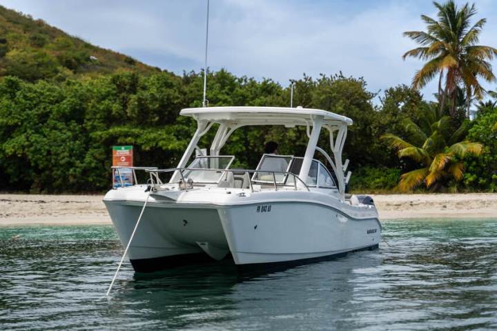 White motorboat anchored near tropical beach with palm trees.