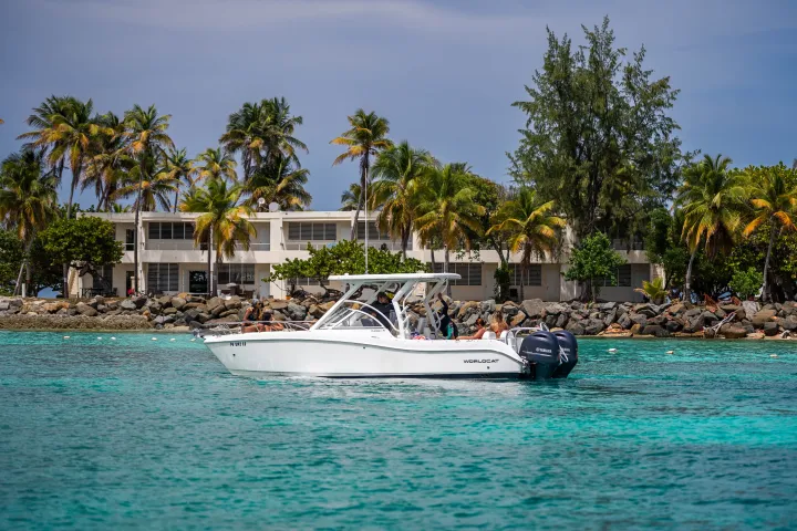 White boat on turquoise water near palm trees and a building.